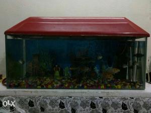 Rectangular Maroon Framed Fish Tank