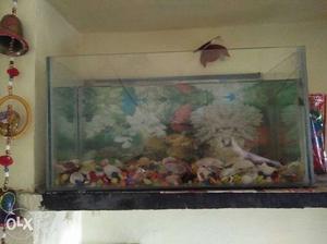 Rectangular fish fish tank with colourful stones