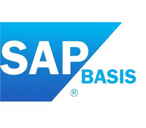 Want to Learn Networking Basics, SAP Basis, Advance Network