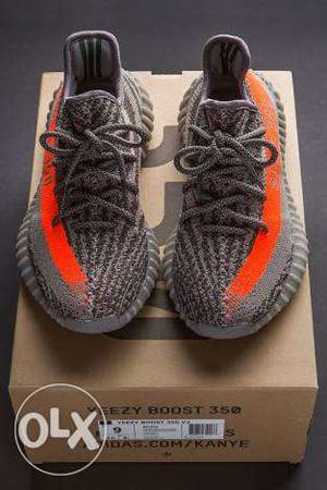 Yeezy beluga  month old perfect condition