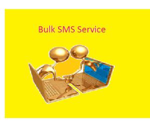 Best Bulk SMS Service Provider in Delhi Delhi