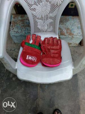 Gm cricket gloves