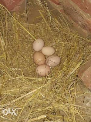 Organic Eggs/Desi aande(eggs)