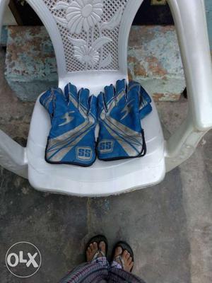 Ss cricket keeping gloves