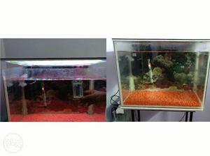 2/1½ feet aquarium (fish tank) with stand