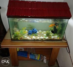 2X1 Complete Fish Tank with All Accessories and Table