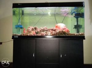 8 months old imported 4 feet aquarim would like to sell