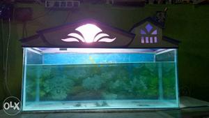 A new 2.5 feet aquarium with cover for sale