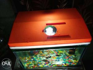 Aquarium with fishes and all other equipments for