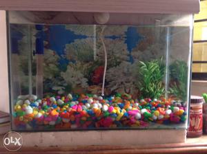 Aquarium with oxygen pump nd colourful stones not