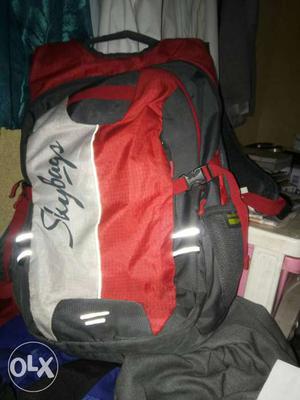 Black, Grey, And Red Skybags Backpack