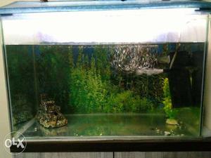 Fish tank for sale with water filter, led lights,