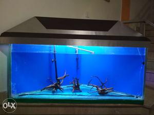 Fish tank triangular size front is 5 feet,height