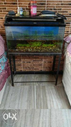 Fish tank,with oxygen and filtering set