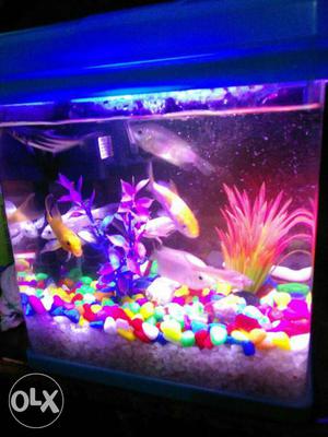 Good condition aquarium 1 month old with all set