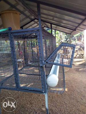 Hi tech poultry cage with size  m