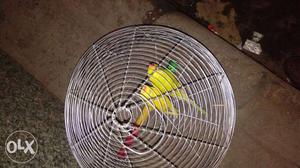 I want to sell Cage only (Pinjra) of 100rs.. No