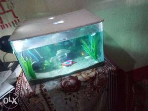 I want to sell my fish tank