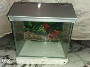 New fish tank with stone and sand