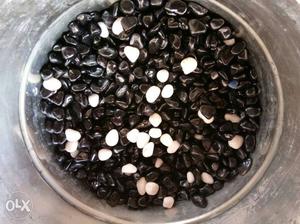Nice quality black aquarium stones for sale 50 rs kg