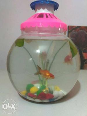 One goldfish at 7 Rs OR full set of bowl with goldfish 100