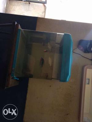 Rectangular Fish Tank With Blue Frame