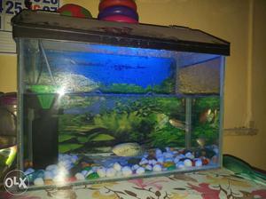 Want to sell my fish tank with all accessories n