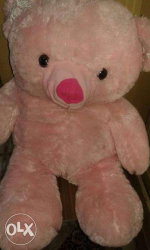 Big size pink teddy bear...new