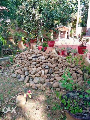 Home garden decoration stone for sale