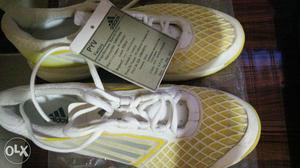 Brand New Collection of Adidas Shoes