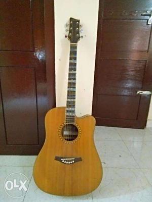 Procraft Acoustic Guitar For Sale