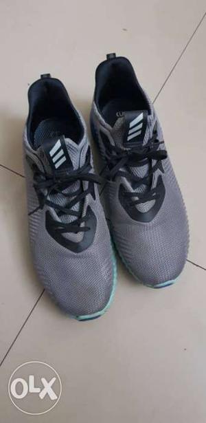 Addidas Alpha Bounce Running shoes hardly used