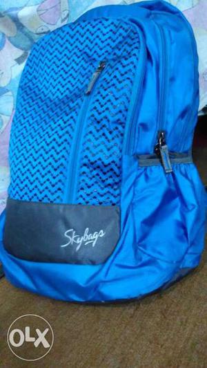 Blue And Black Skybags Brand Backpack (1month)
