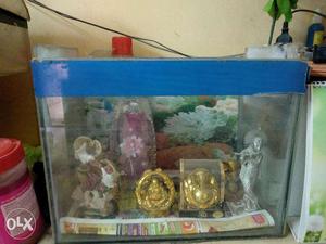 1 feet aquarium urgently selling with top case