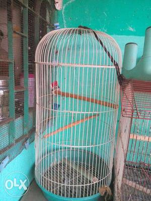 2 big bird cages good condition fr any birds