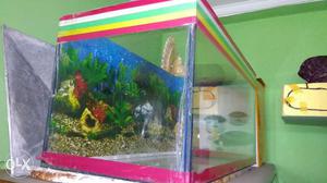2ft aquarium, with cover and wallpaper urgent sell
