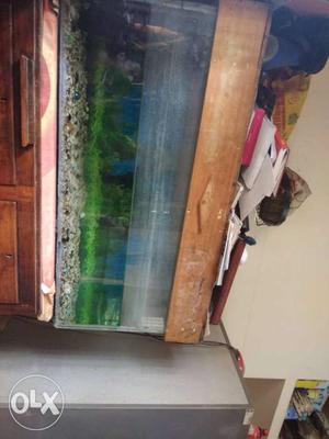 3.5 x 1.5 Size Fish tank with wodden top