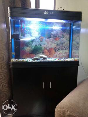 3 month used..32 inch fish equirium..with water