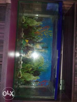 32 inch × 12 inch fish tank gud condition with