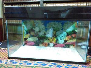 42inch aquarium in good condition for urgent sale