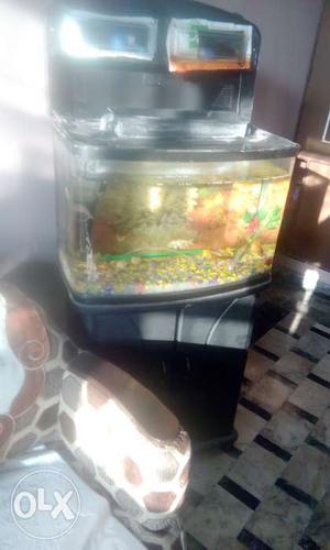 A chinese fish aquarium 66 litres. A 3feet high
