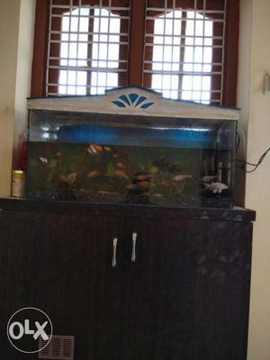 Acquraim with 25fishes, filter, with heater and