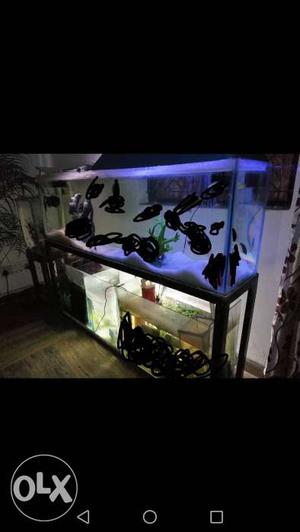 Aquarium Fish Tank (5feet Long, 1.5 feet height)