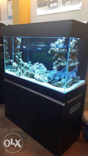 Aquarium Set up
