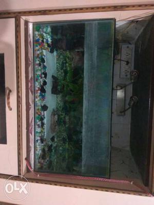 Aquarium good condition