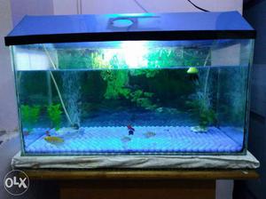 Aquarium in good condition with all accessories