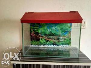 Aquarium tank with fish and all thing