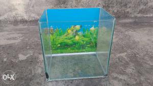 Aquarium tank_heater__filter_upper cover
