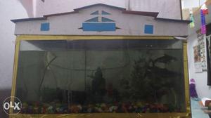 Aquarium with 6 sharks fishes, stand, air filter,