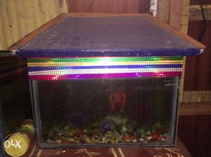 Blue wooden covered Fish tank,including water